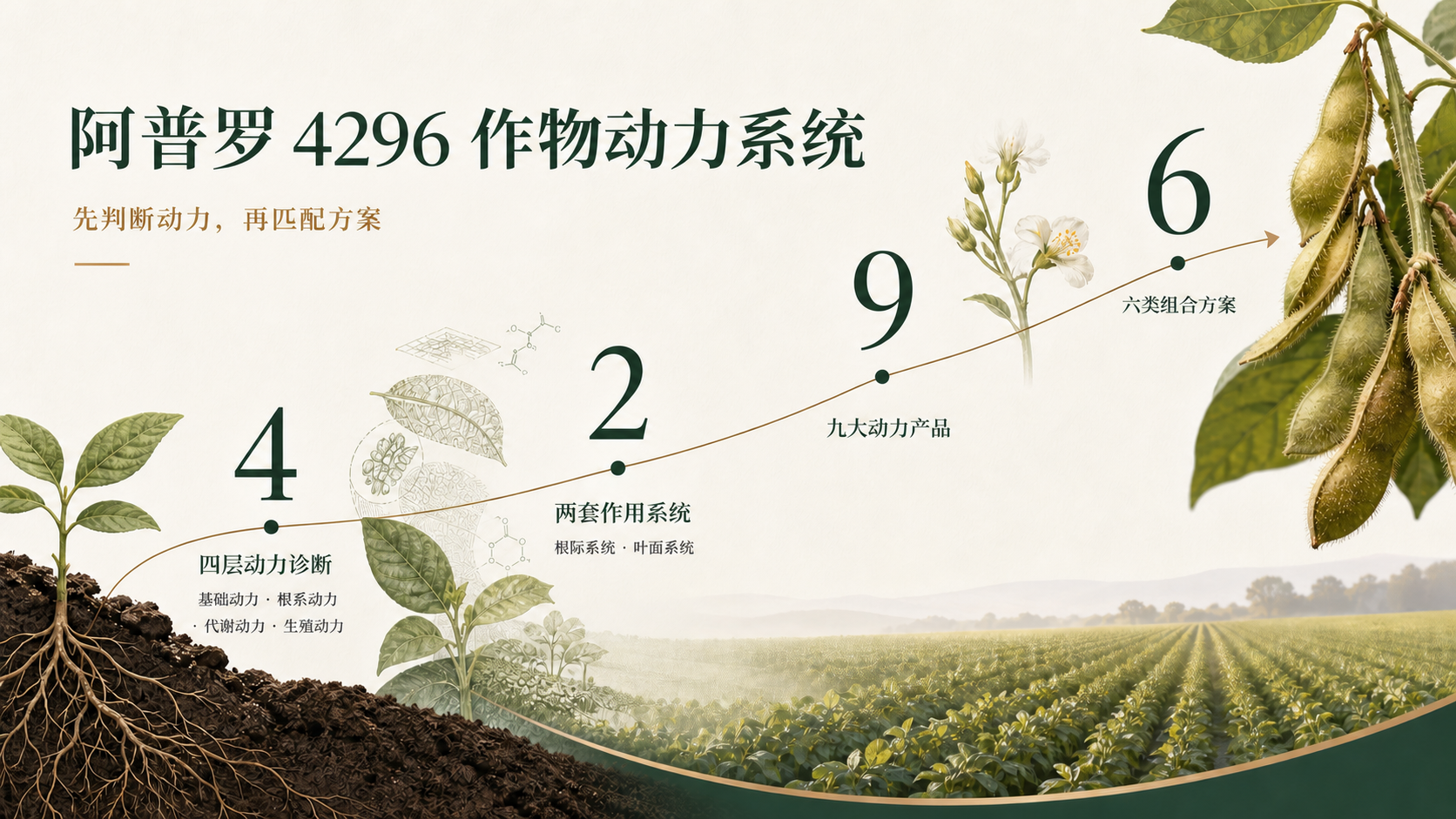 阿普罗 4296 作物动力系统：4 层动力诊断、2 套作用系统、9 大动力产品、6 类组合方案
